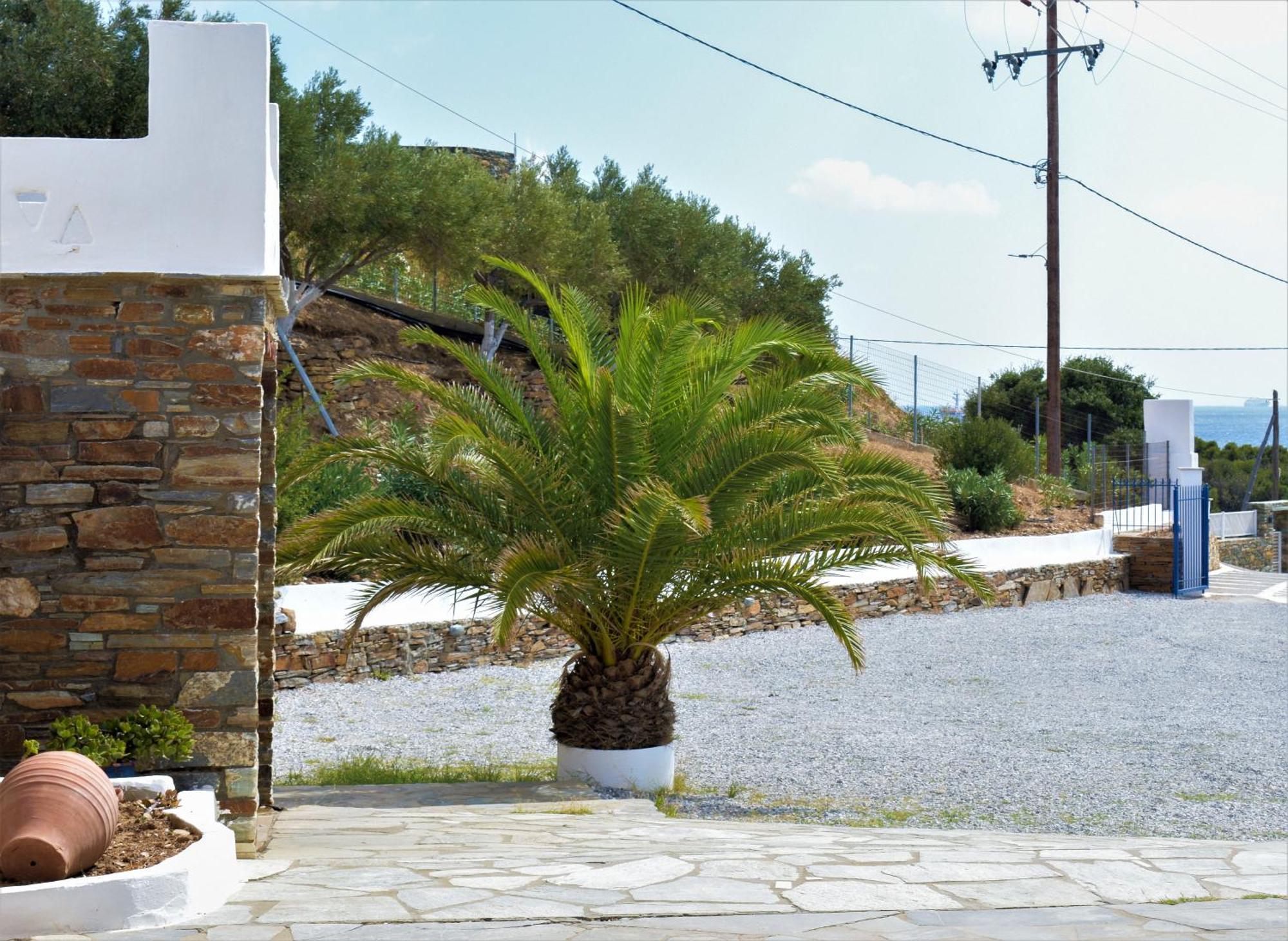 Villa Maniati Studios Agios Petros  Exterior photo